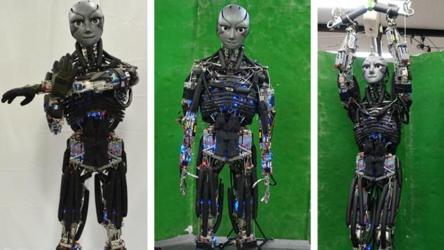 Japanese Scientists Made A Sweating Robot That Can Finally Pull Off A Sweet Training Montage