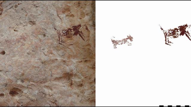 Australian Scientists Found 2500 Year Old Cave Paintings Of Dogs