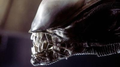 Ridley Scott Thinks Alien Should Be As Big As Star Trek And Star Wars