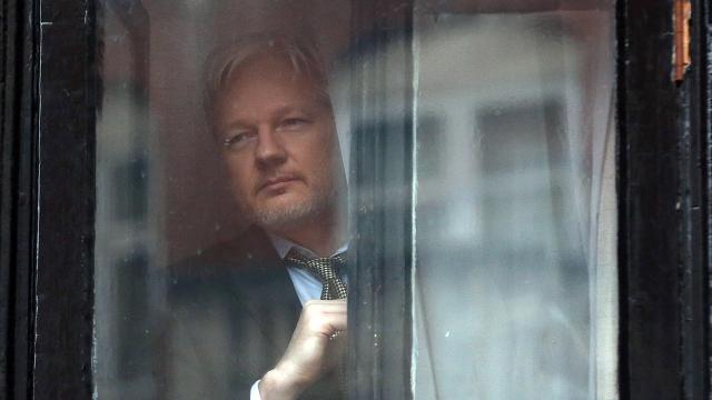 Ecuador Officially Adopts Large Adult Son Julian Assange