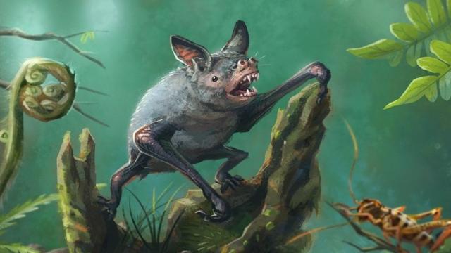 Discovery Of Extinct Burrowing Bat Tells Mysterious Story About New Zealand