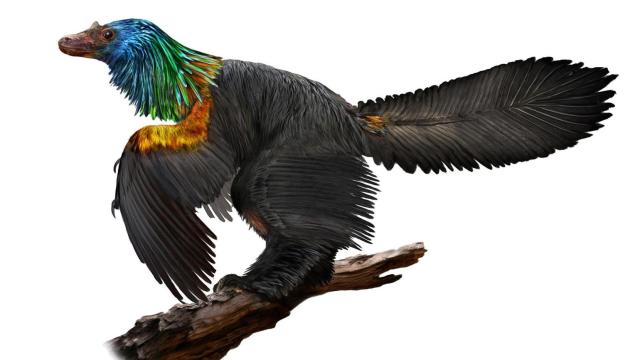 This Bird-Like Dinosaur Featured A Stunning Rainbow-Coloured Mane