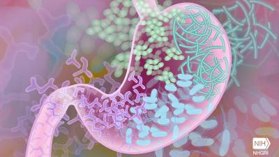 Scientists Develop Important Tool For Connecting Poo Bacteria To Health