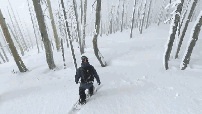 Mellow Out Your Day With This Snowboarder’s Peaceful Ride Down A Mountain