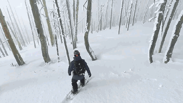 Mellow Out Your Day With This Snowboarder’s Peaceful Ride Down A Mountain