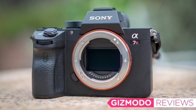 Sony A7R III Review: The New King Of Mirrorless Cameras