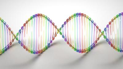 The US Government Hopes $236 Million Will Make Gene Editing Mainstream