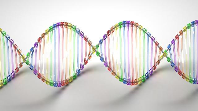 The US Government Hopes $236 Million Will Make Gene Editing Mainstream
