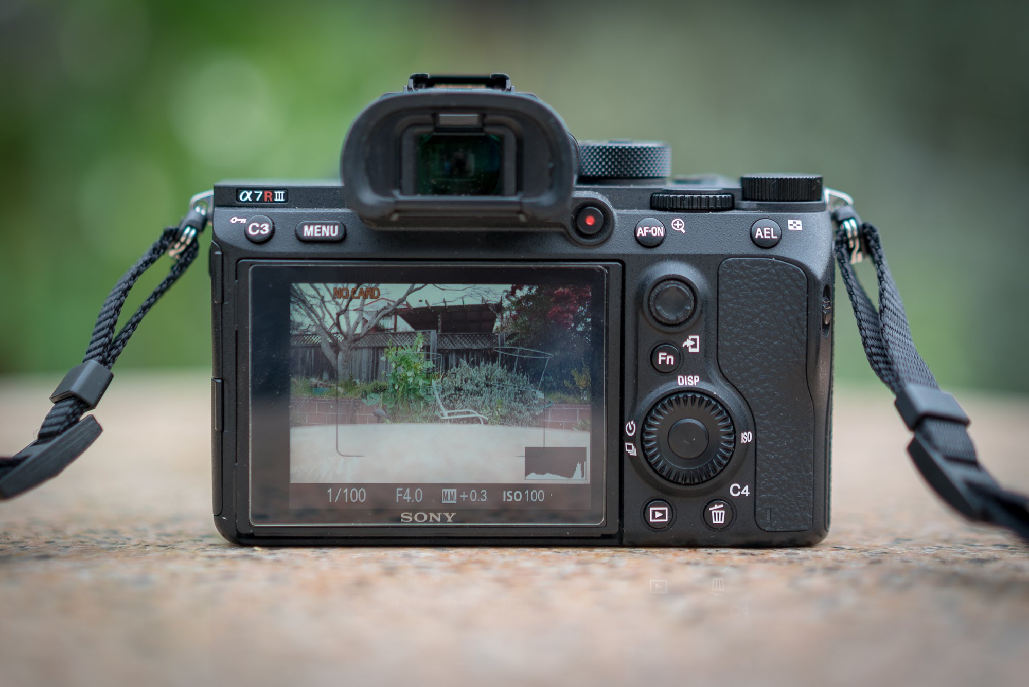 Review: Sony a7r III (The Camera So Many of Us Have Been Waiting For)