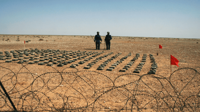 Detonating Landmines Is Better For The Environment Than Deactivating Them, Research Suggests