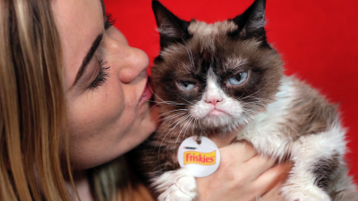 Grumpy Cat Wins $880,000 For Copyright Infringement As Memes Continue To Dominate Society