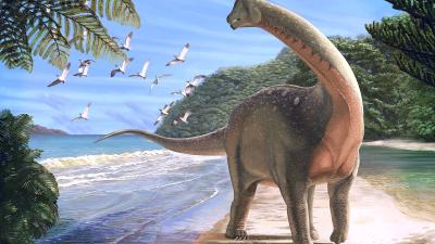 New Species Of African Titanosaur Solves Cretaceous-Era Mystery