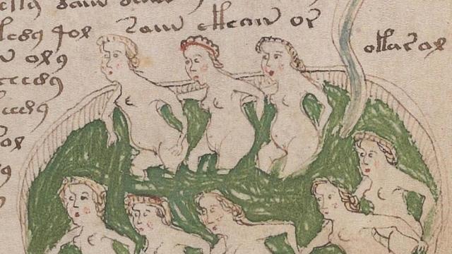 Artificial Intelligence May Have Cracked Freaky 600-Year-Old Voynich Manuscript