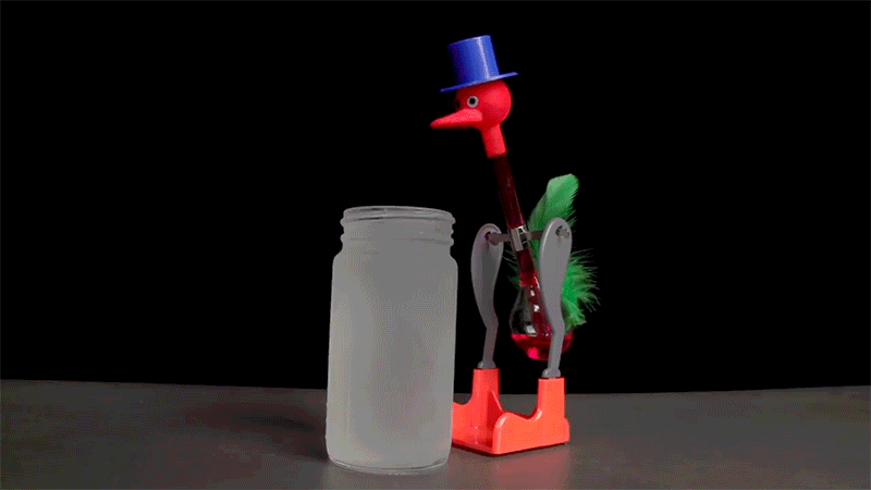 Famous drinking bird, thermodynamic rocking automaton (big size) - Item#  for this drinking bird toy: OISEAU-BUVEUR-2