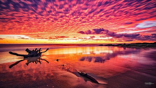 2017’s Most Stunning Images Prove Australian Photographers Are Simply Brilliant