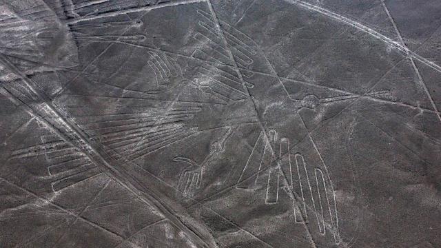 Stupid Truck Driver Drove Right Over The Nazca Lines