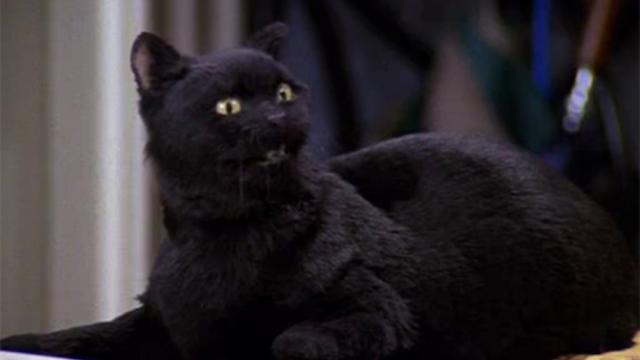 Hail Salem, The Chilling Adventures Of Sabrina Has A New Familiar