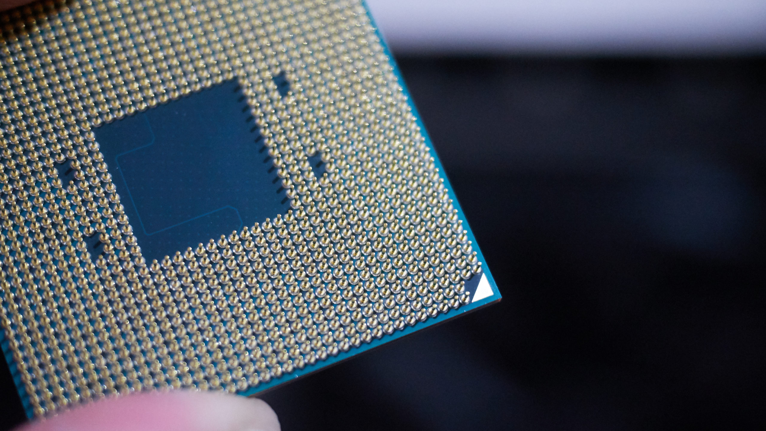AMD’s Newest Processors Are So Good You Can Skip The Graphics Card