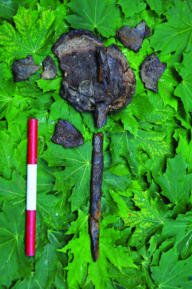 Human Skulls Mounted On Stakes Found At 8,000-Year-Old Burial Site In Sweden