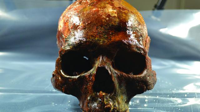 Human Skulls Mounted On Stakes Found At 8,000-Year-Old Burial Site In Sweden