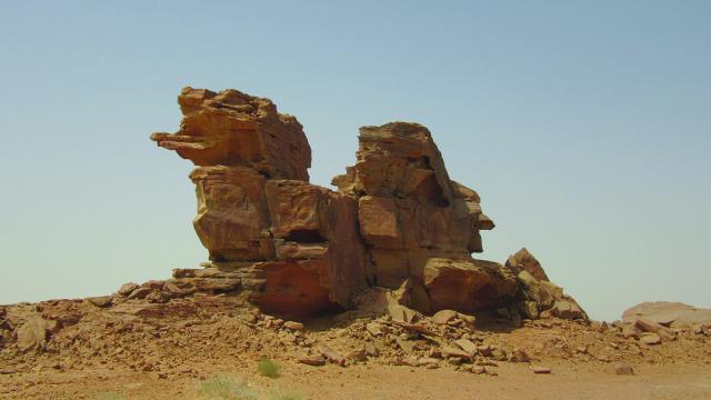 Amazing Life-Sized Sculptures Of Camels And Horses Discovered In Saudi Arabia