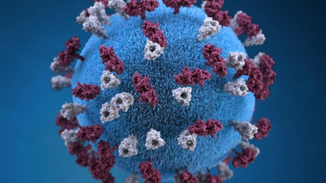 An Aussie Breathed Measles Virus All Over New York City Last Week