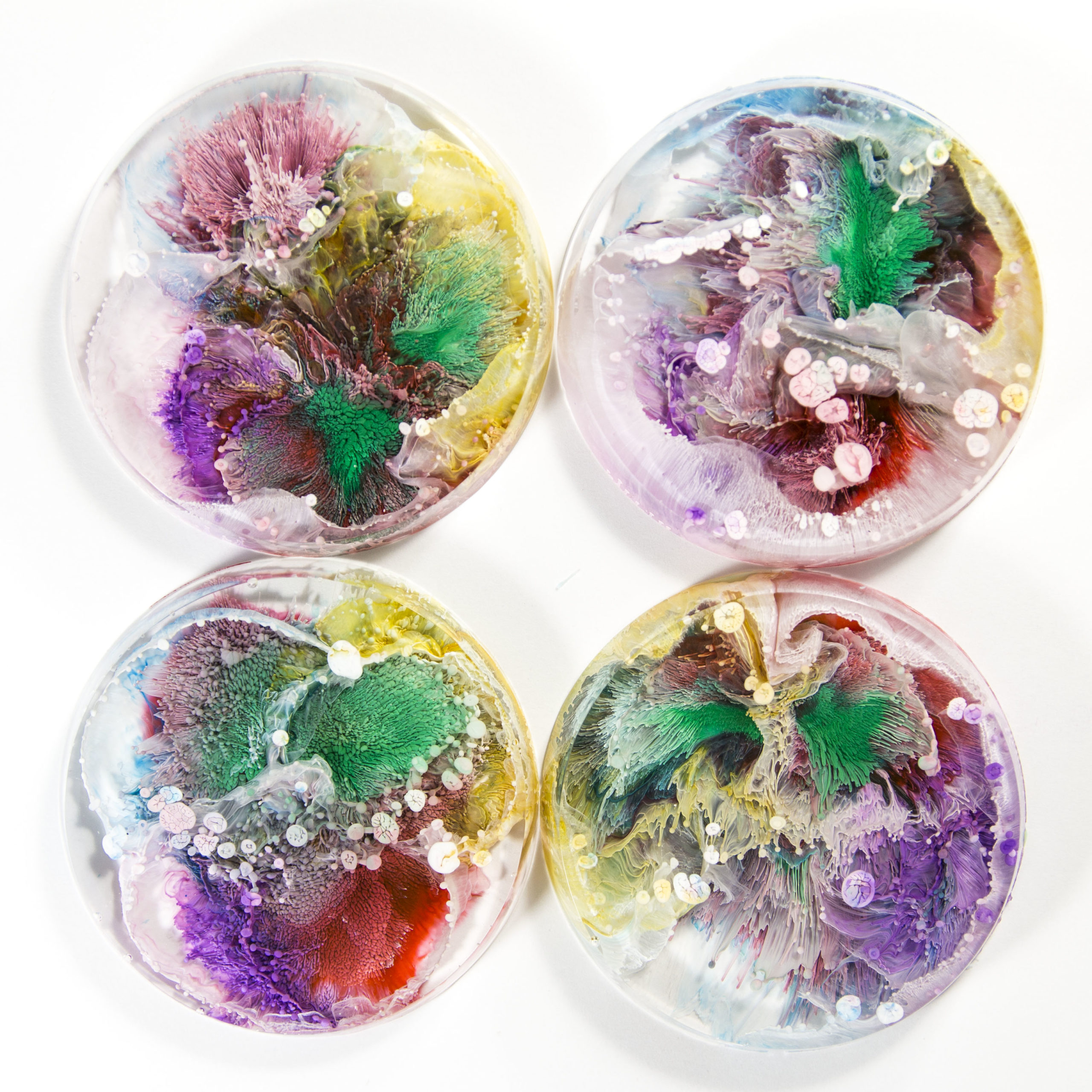 This Breathtaking Art Is Like Annihilation Contained In A Petri Dish