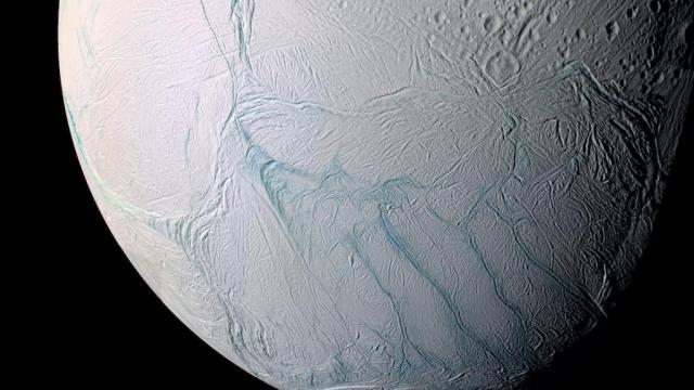 Experiment Shows Microbes Could Thrive On Saturn’s Moon Enceladus