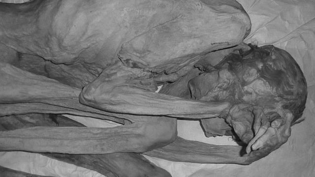 5,000-Year-Old Mummy Is Earliest Known Tattooed Woman