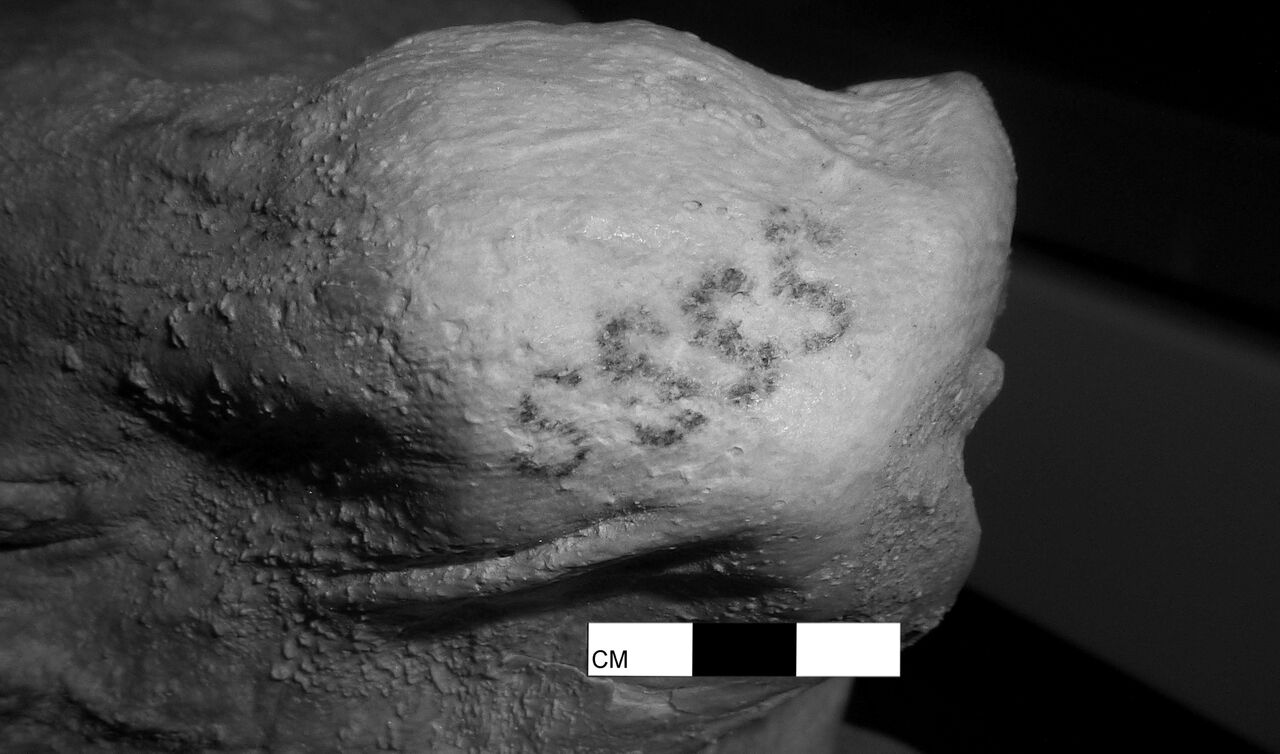 5,000-Year-Old Mummy Is Earliest Known Tattooed Woman