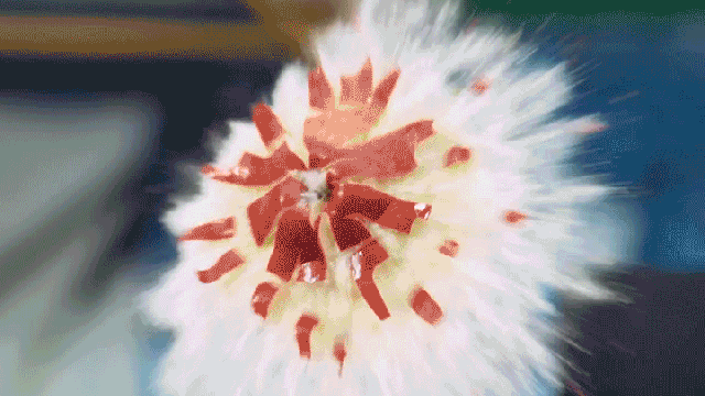 Gratuitous Fruit-on-Fruit Violence In Slow Motion Is Like An Edible Fireworks Show