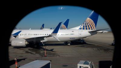 After Puppy Dies In Overhead Bin, United Airlines Mistakenly Sends Different Dog To Japan