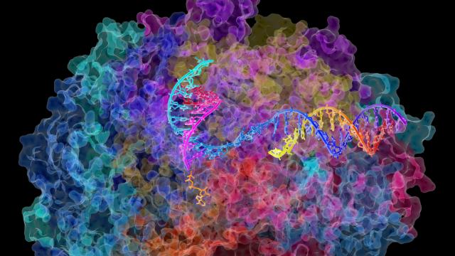 How Editing RNA, Not DNA, Could Cure Disease In The Future