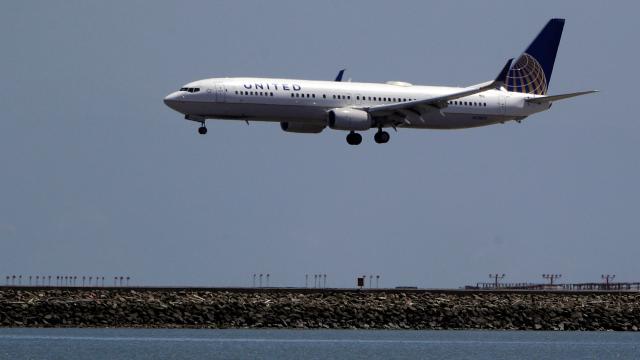 United Airlines Re-Routes Plane After Third Dog-Related Mishap Of The Week