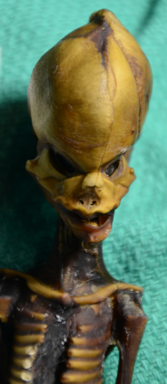 ‘Alien’ Mummy Found In Atacama Desert Is Actually A Tiny, Mutated Human