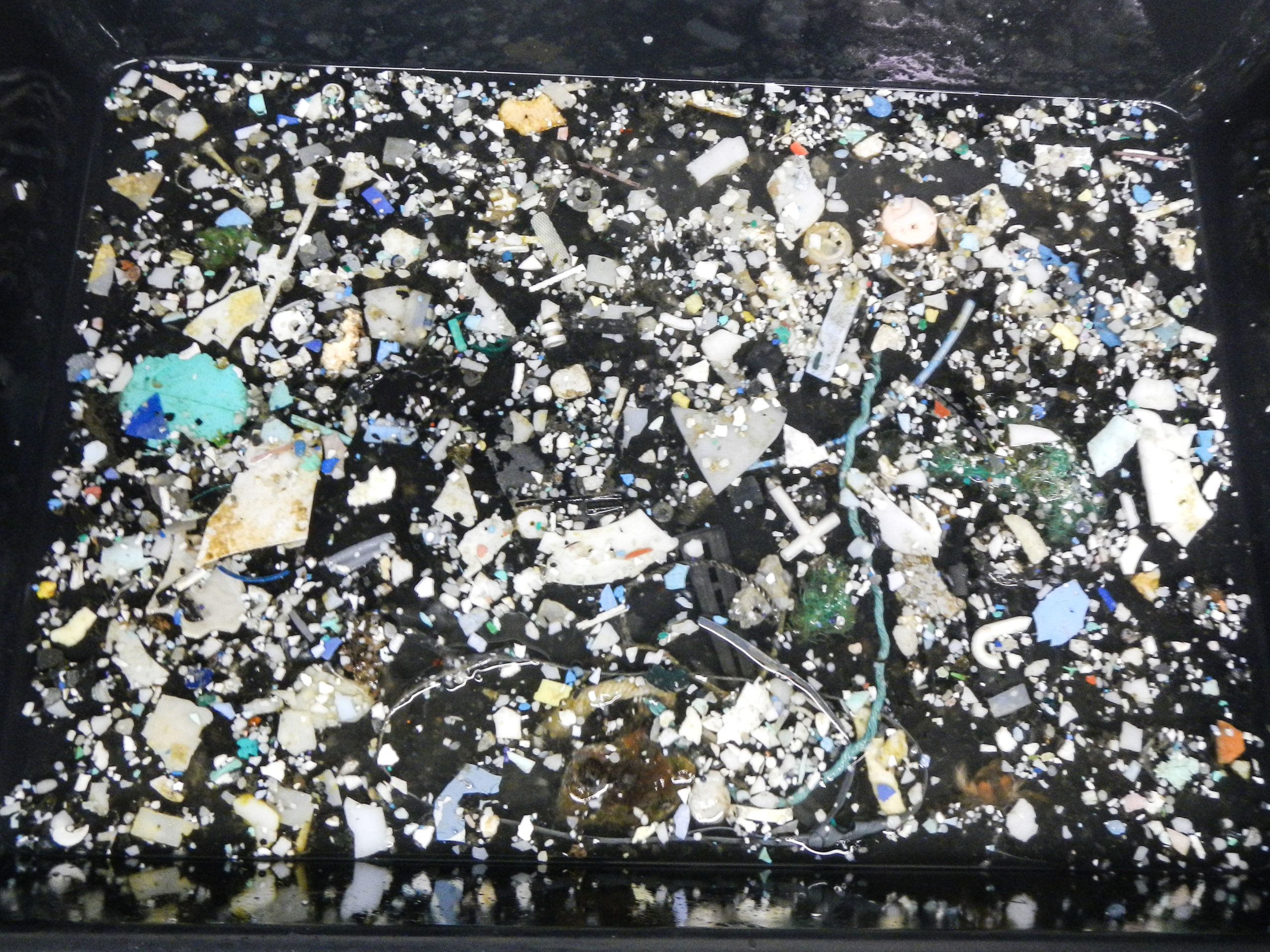The Great Pacific Garbage Patch Has Way More Trash Inside It Than We Thought