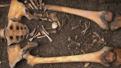 Dead Medieval Woman ‘Gave Birth’ To Baby In Coffin