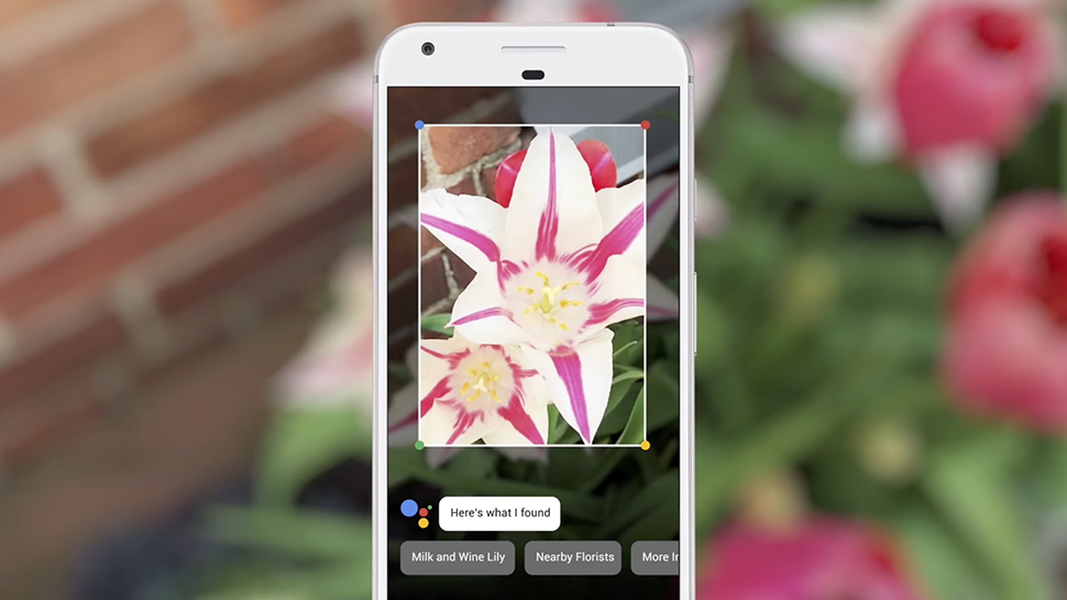 What Can Google Lens Actually Do For You Right Now