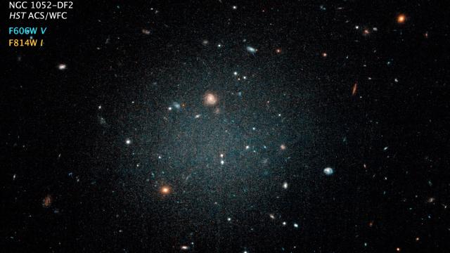 Holy Crap, This Galaxy Has No Dark Matter 