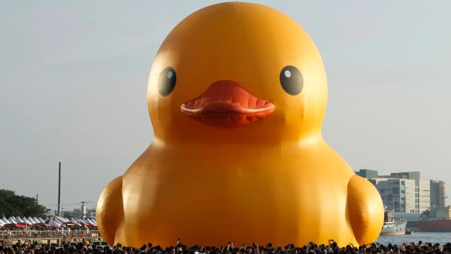 Scientists Conclude Your Rubber Bath Ducky Is Probably Gross As Hell