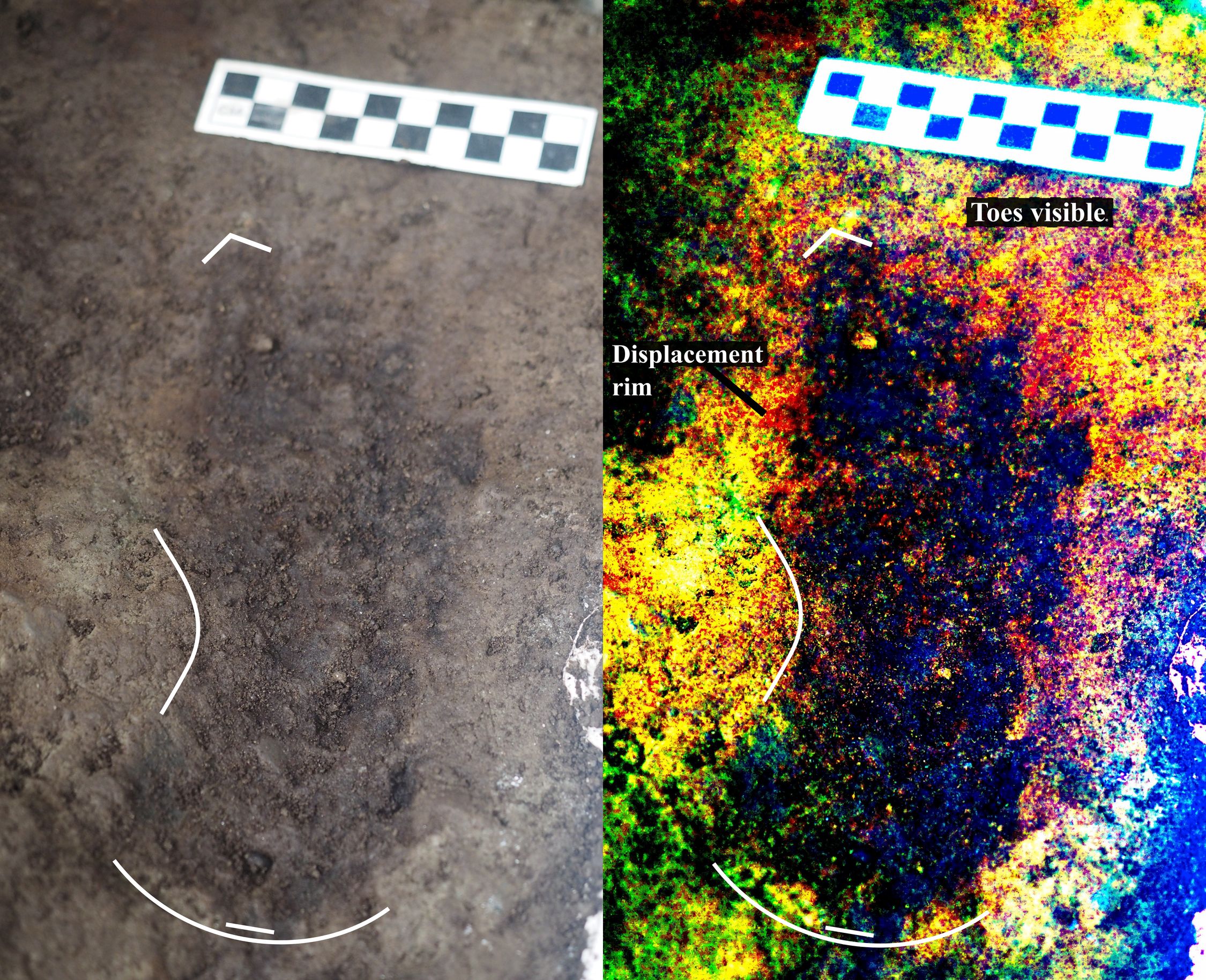 Archaeologists Discover 29 Human Footprints From The Last Ice Age