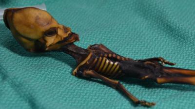 Chile Is Seriously Pissed About The ‘Alien’ Mummy Study