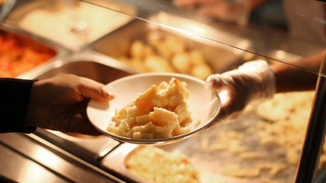 Many US Restaurant Meals Come With A Side Of Hormone-Disrupting Phthalates