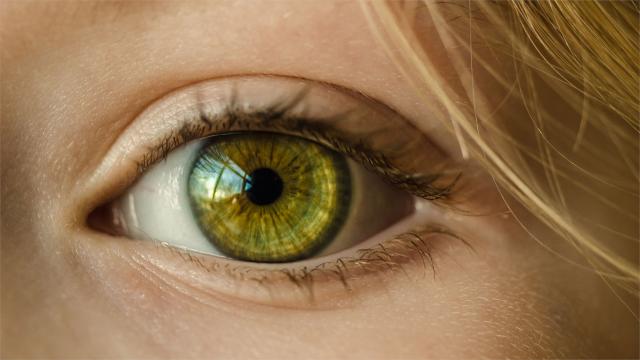 One Day You Could Replace Your Glasses And Contacts With Nanoparticle Eyedrops