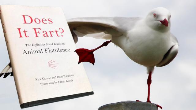 Finally, There’s A Book About Which Animals Fart