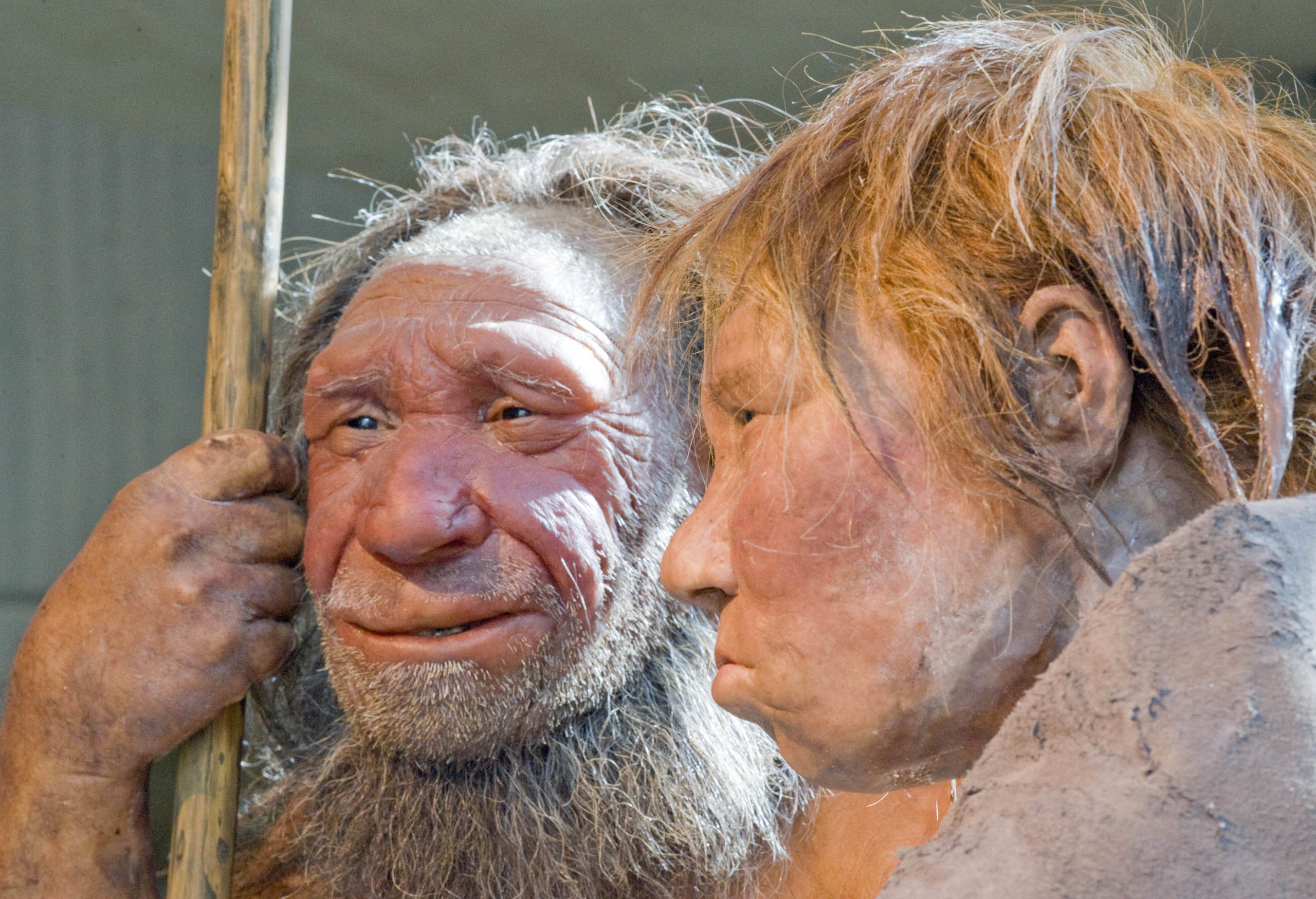 Why Neanderthals Had Faces That Were So Different From Ours