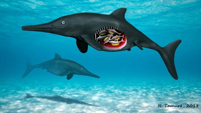 Fossilised Ichthyosaur Was Pregnant With Octuplets When She Died