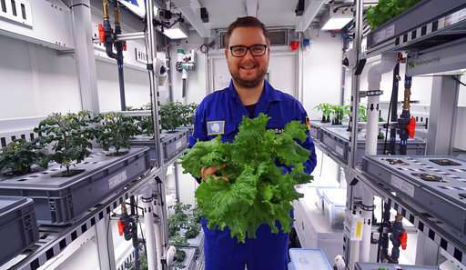 These Superb Antarctic Veggies Are A Tasty Preview For A Menu On Mars