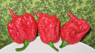 World’s Hottest Chilli Sends Man To The ER With Thunderclap Headaches