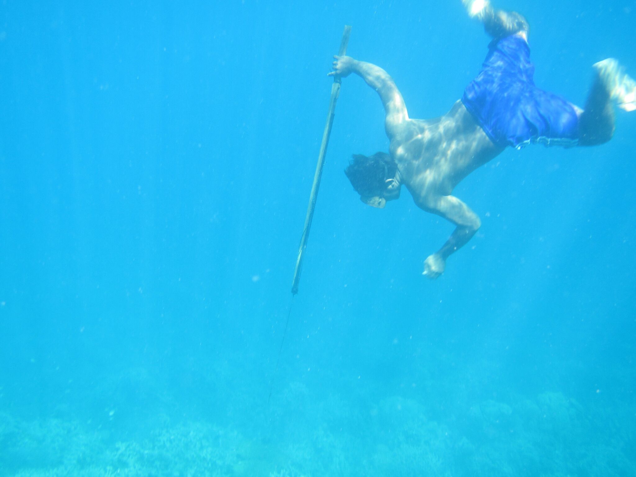 Rare Mutation Among Bajau People Lets Them Stay Underwater Longer